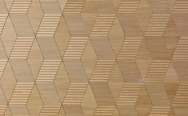 廣西玉林學校報告廳木質(zhì)吸音板聲學工程-1